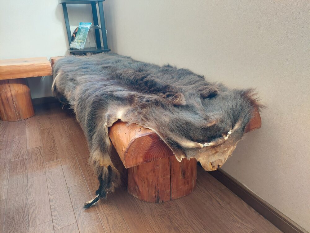 逆巻温泉 川津屋のロビーのベンチに敷いてある熊の毛皮