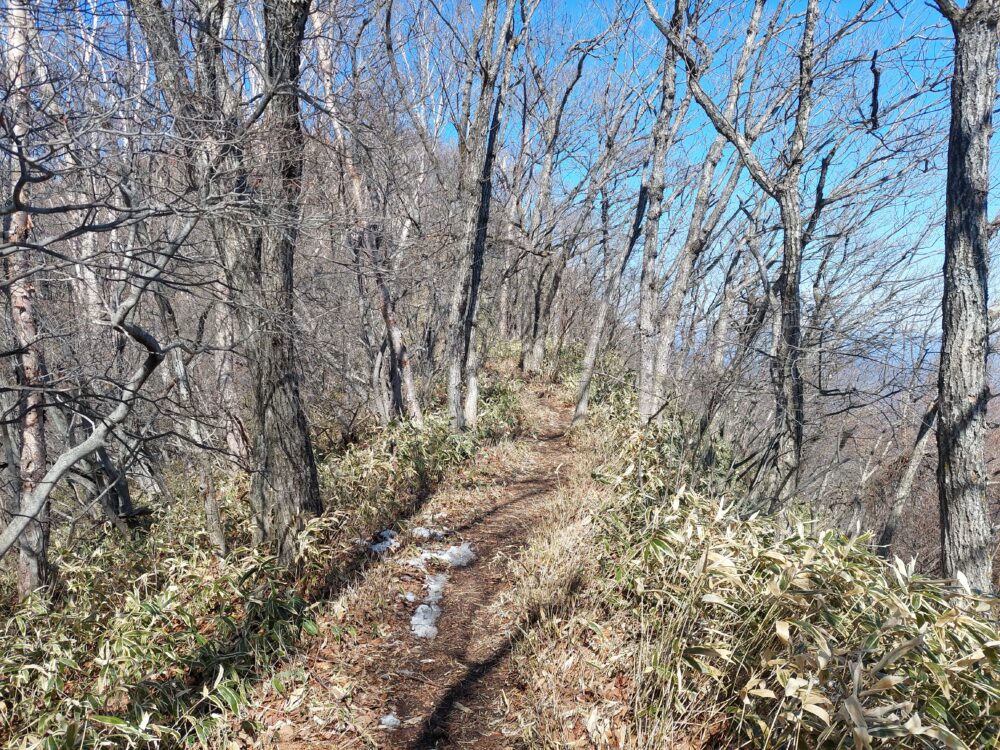 浅間隠山の尾根道