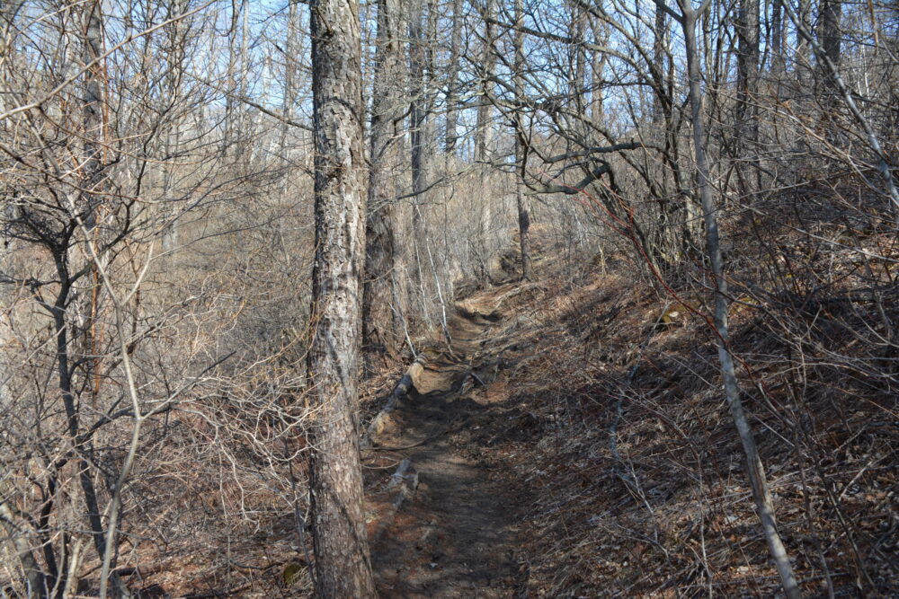 浅間隠山の登山道