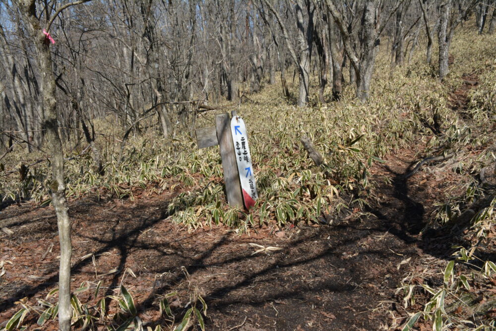 浅間隠山の二度上峠との分岐点(北軽井沢分岐)