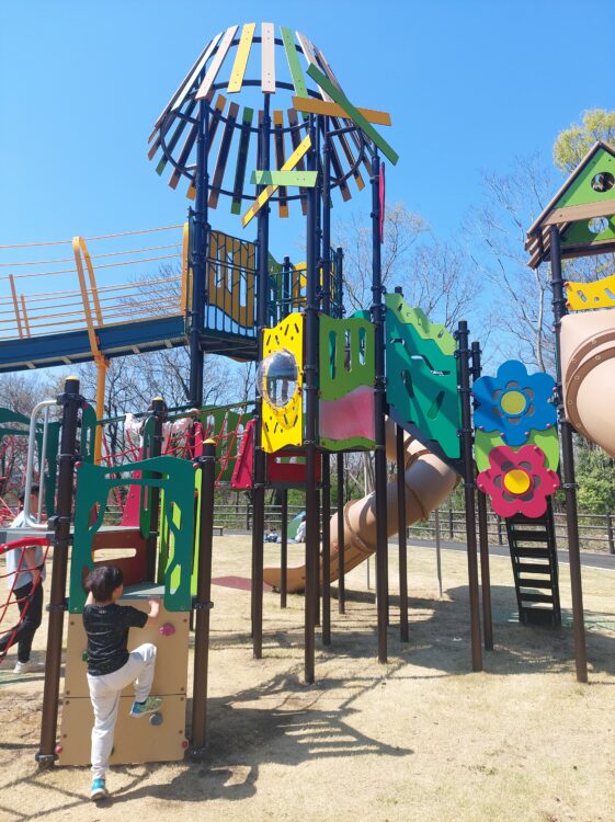 秋葉の森総合公園・アスレチック広場の大型遊具