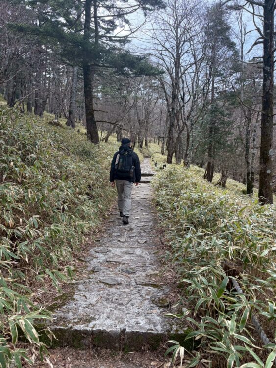 大台ヶ原の登山道を歩く登山者