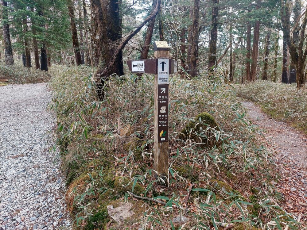 大台ヶ原の登山道の分岐