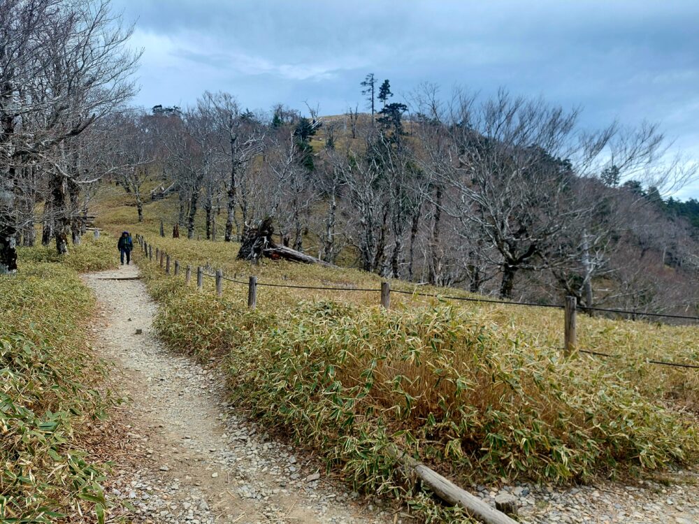 大台ヶ原の日出ヶ岳