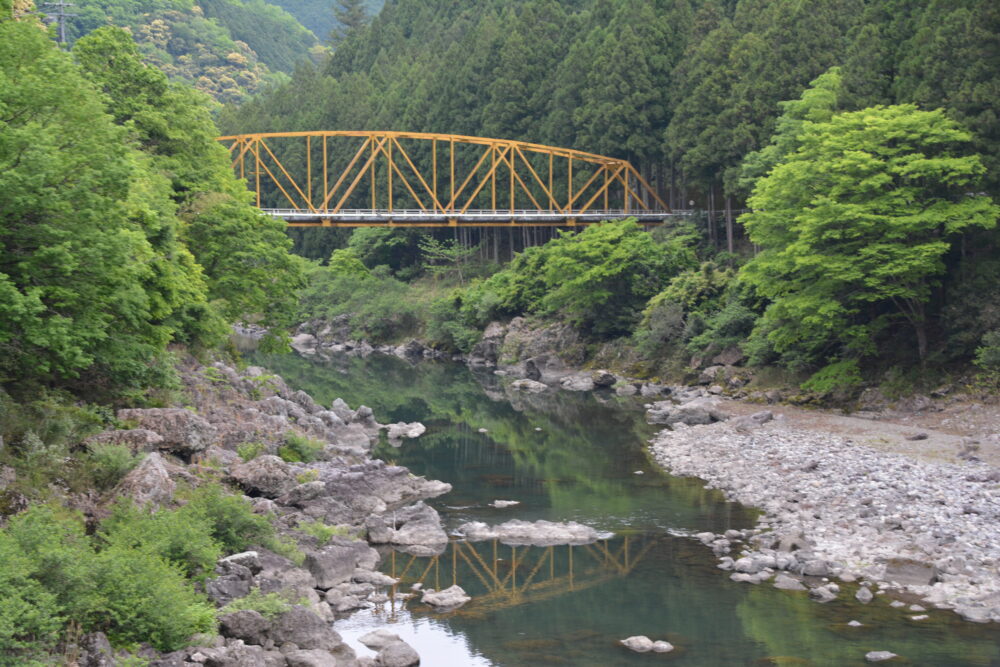 紀伊山地の新緑とせせらぎ&橋
