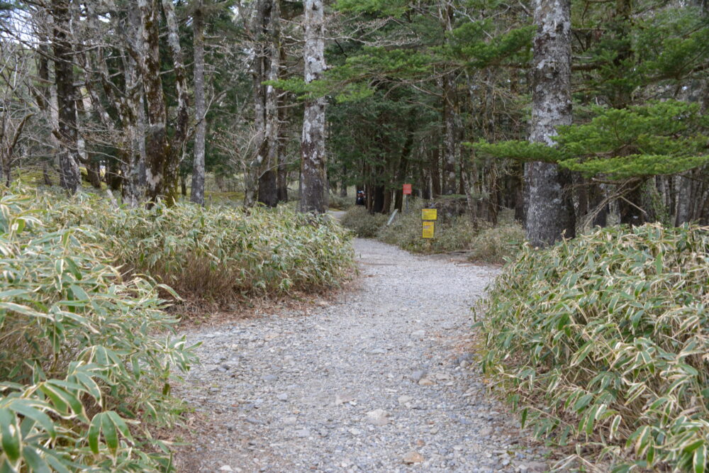 大台ヶ原の登山道