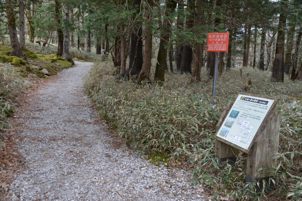 大台ヶ原の登山道