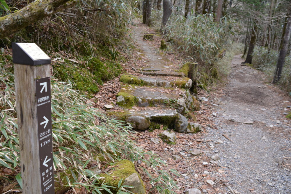 大台ヶ原の登山道の分岐