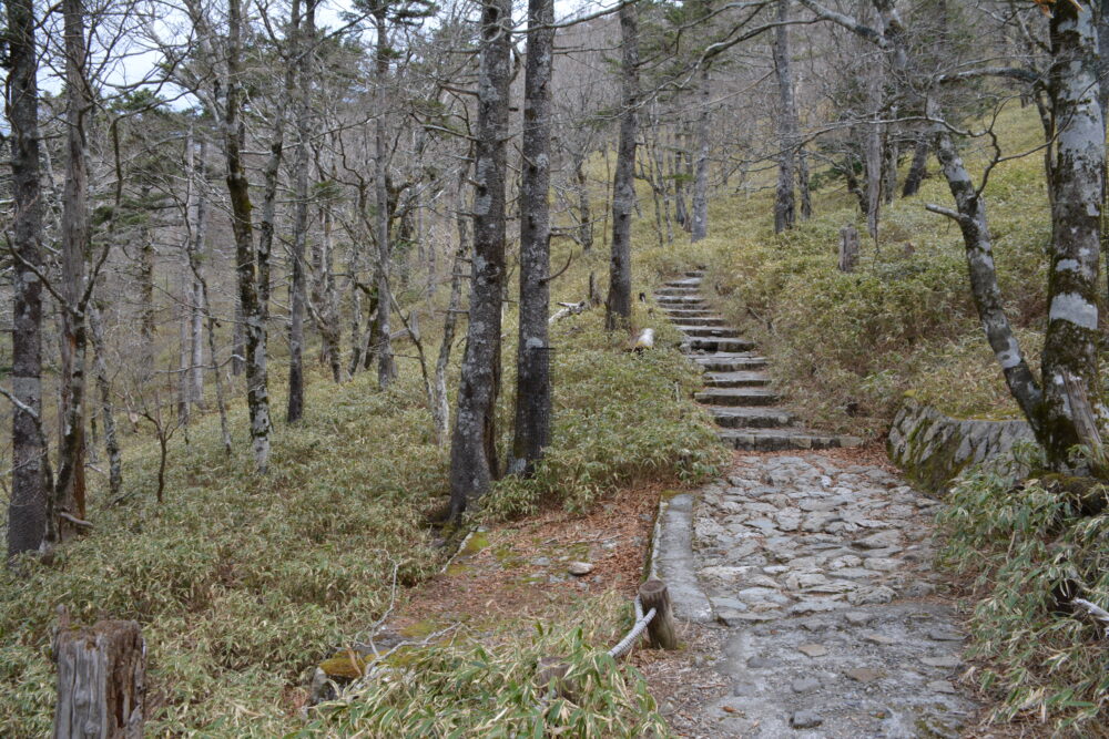 大台ヶ原の登山道