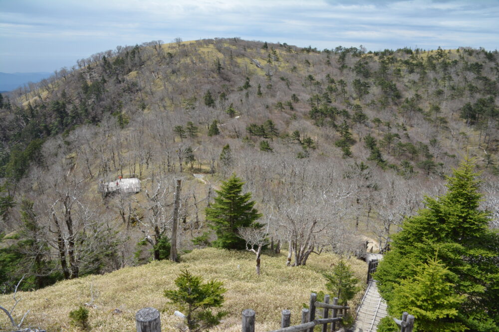 大台ヶ原の登山道