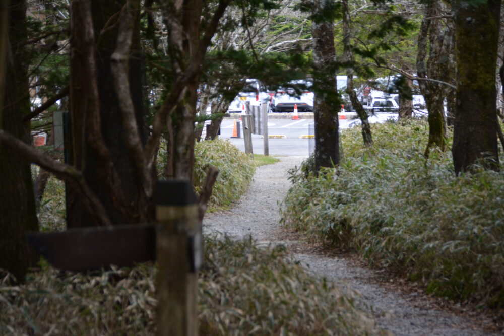 大台ヶ原の登山道