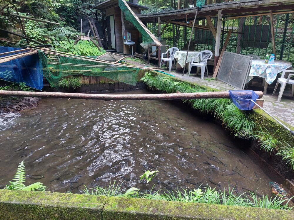 黒山三滝の黒山園/黒山三滝お休み処の釣り堀