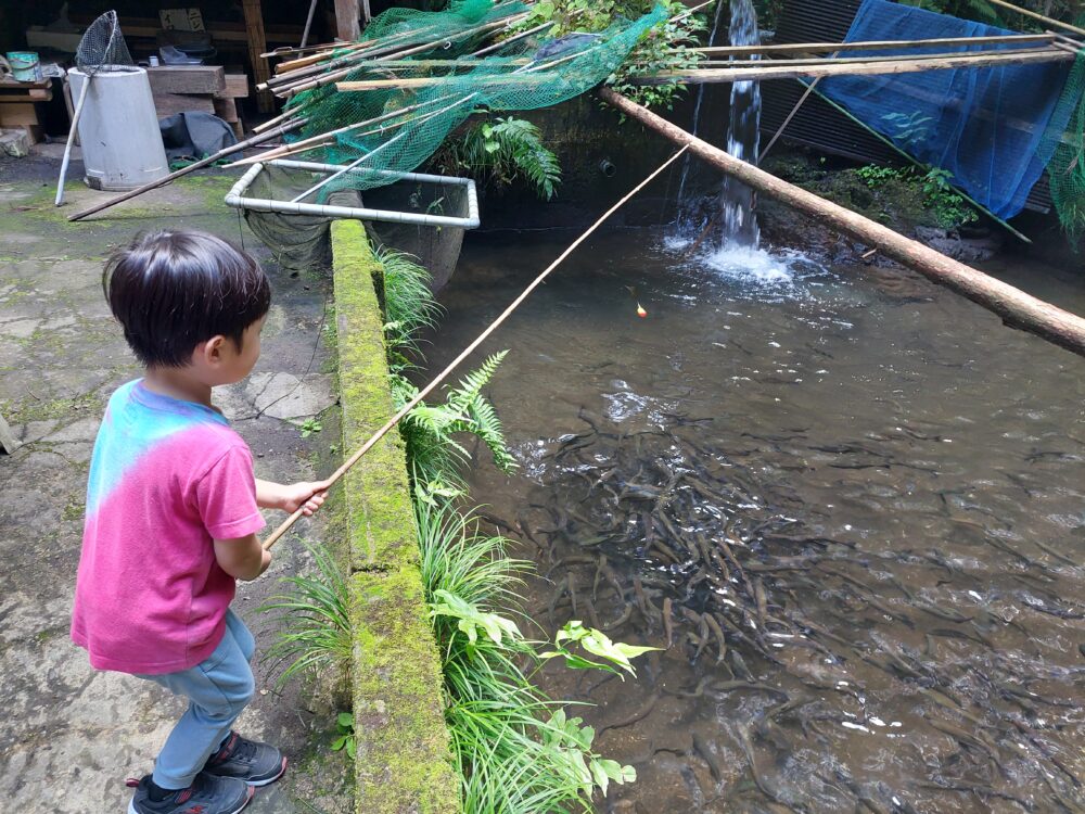 黒山園/黒山三滝お休み処で釣りを楽しむ子供