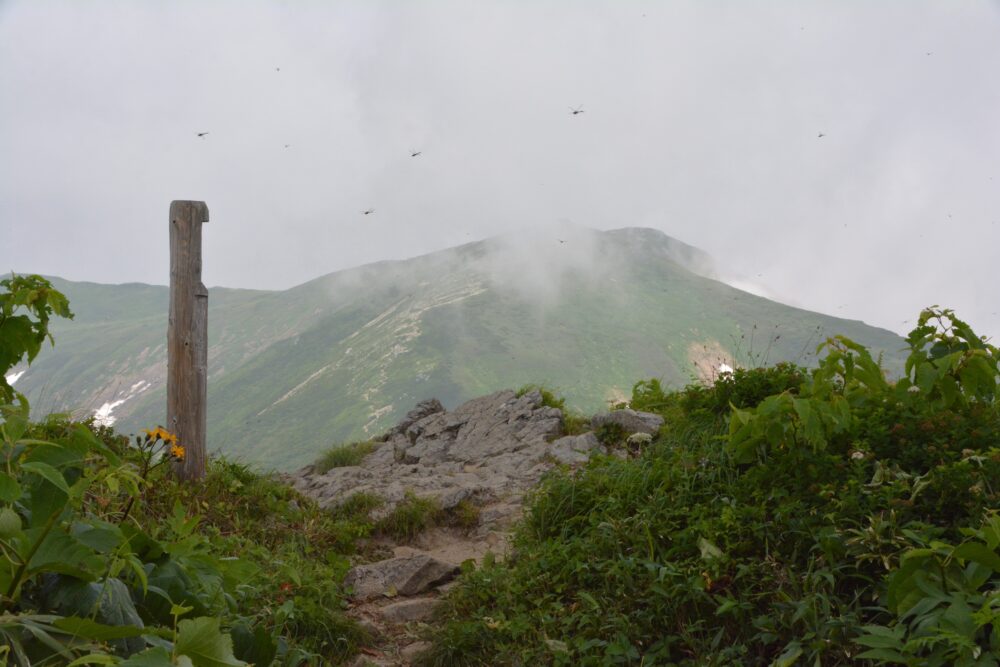 飯豊山の草履塚