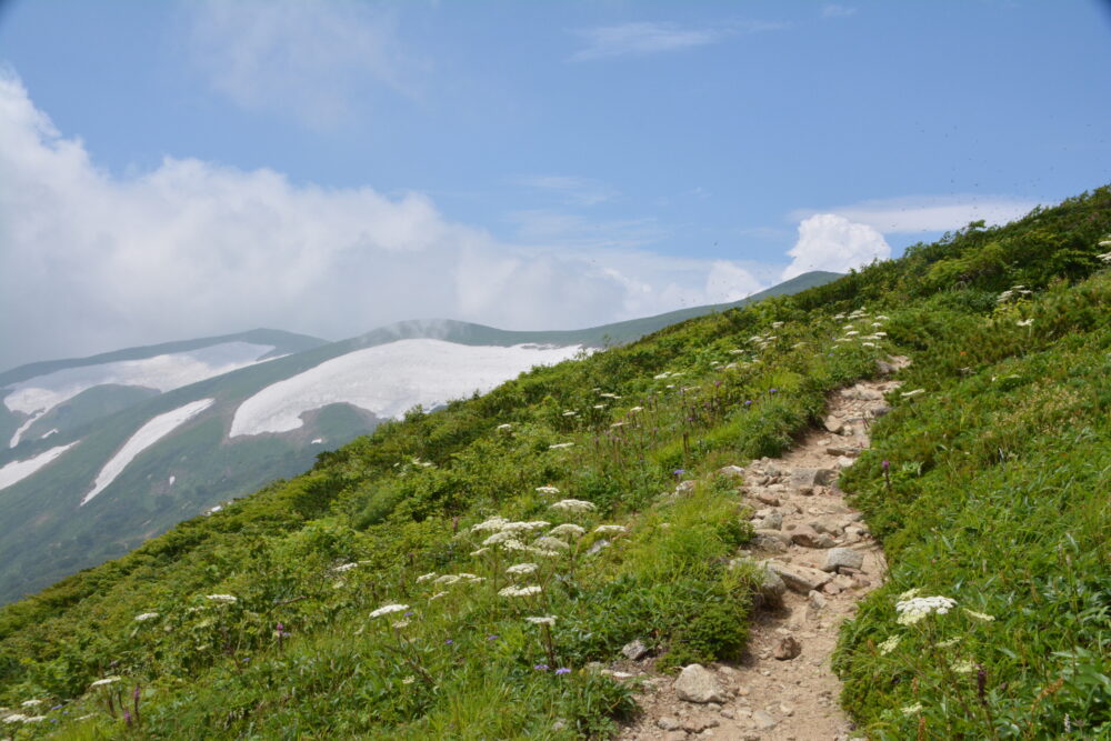 飯豊山の登山道