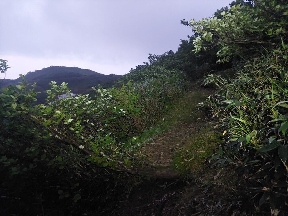 夜明け時の飯豊山の登山道