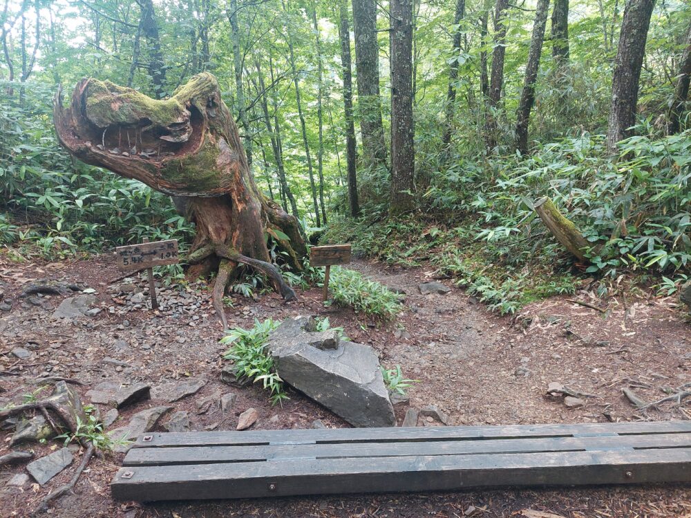 蝶ヶ岳の登山道にあるゴジラみたいな木とベンチ