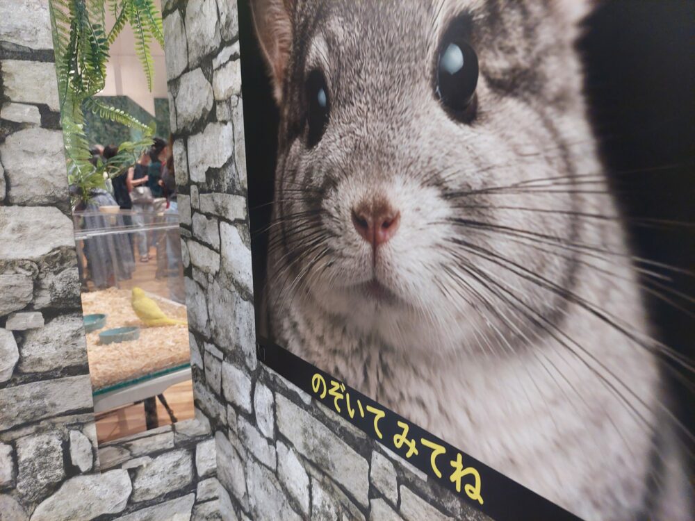 いきもの探検隊吉川店の隙間