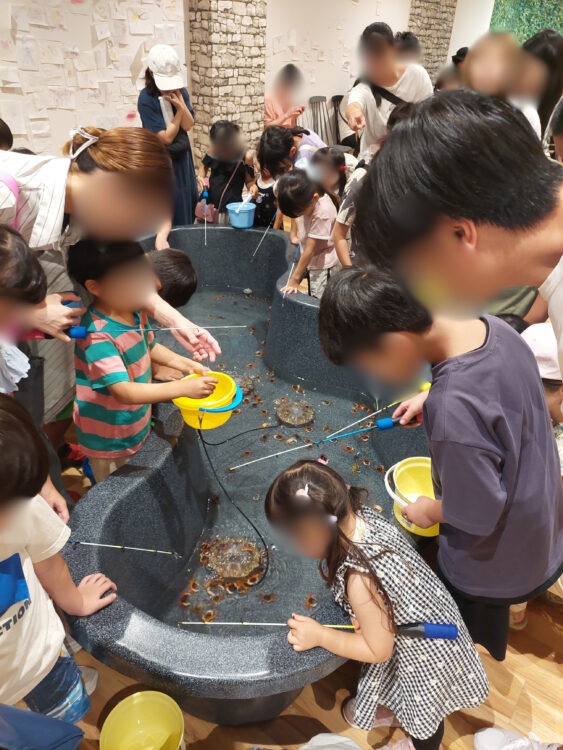 いきもの探検隊吉川店でサワガニ釣りをする子供たち