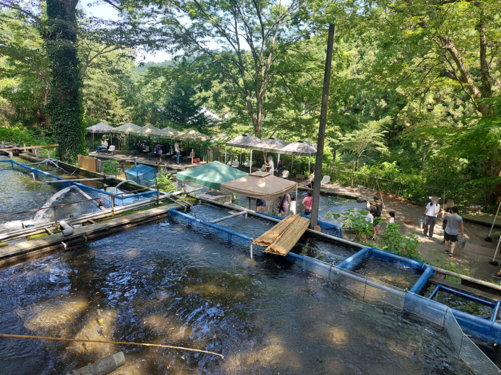 風布にじます釣り堀センター