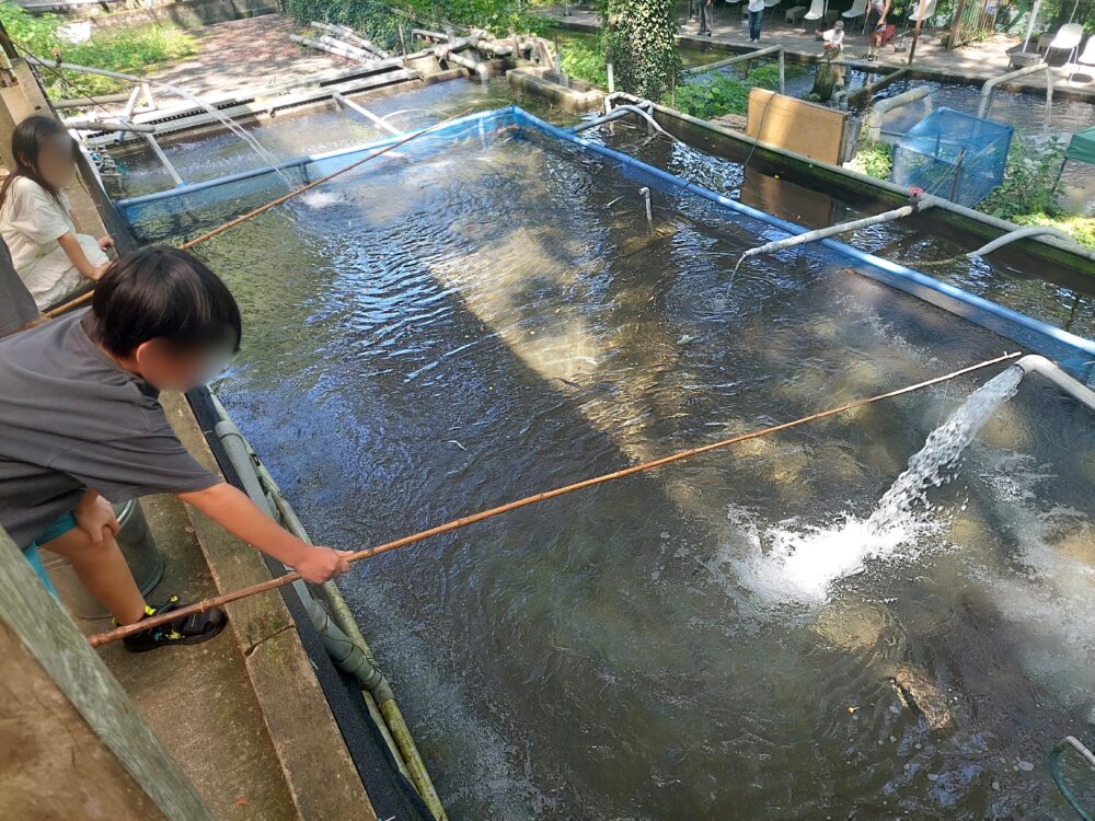 風布にじます釣り堀センターの釣り堀の上段にある釣り堀