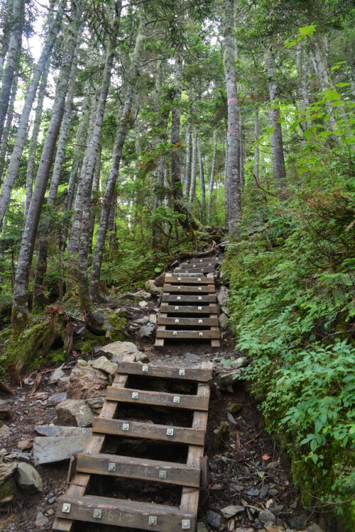 蝶ヶ岳の登山道
