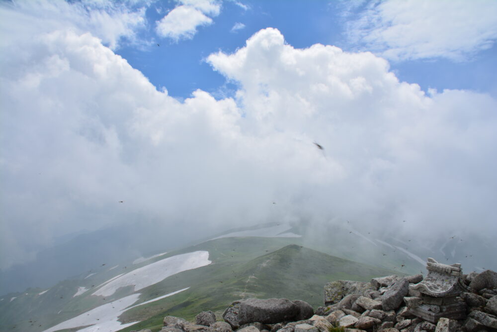 飯豊山山頂kあら見た夏雲