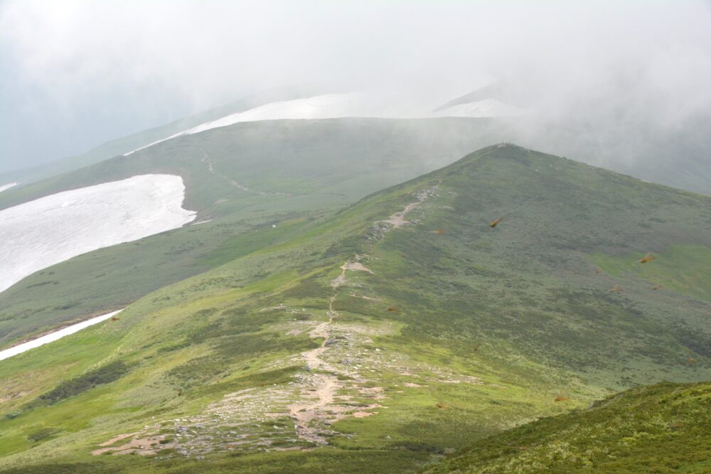 飯豊山山頂から見た稜線と登山道