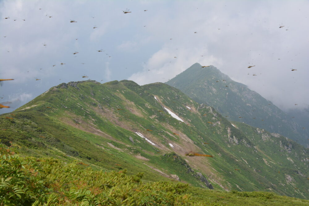 飯豊山山頂から見た宝珠山へのルート