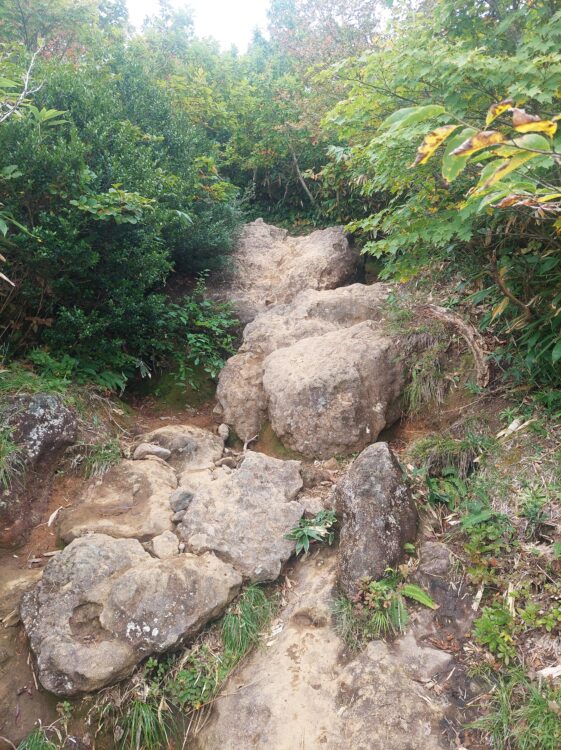 栗駒山・東栗駒コースの登山道