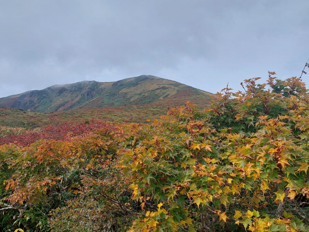 紅葉の栗駒山山頂