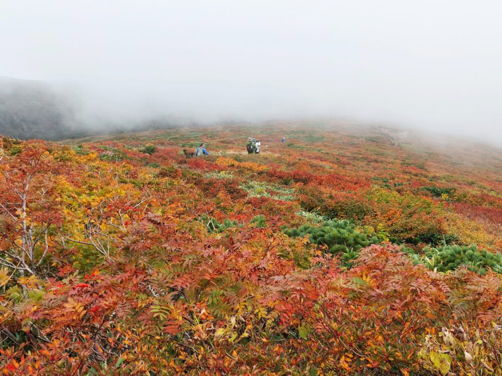 ガスに包まれた栗駒山の紅葉