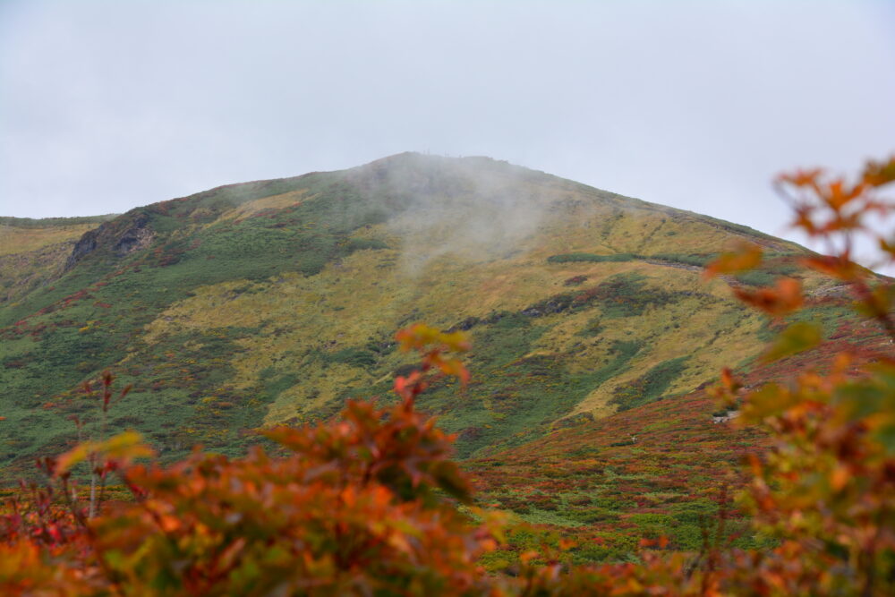 紅葉の栗駒山山頂