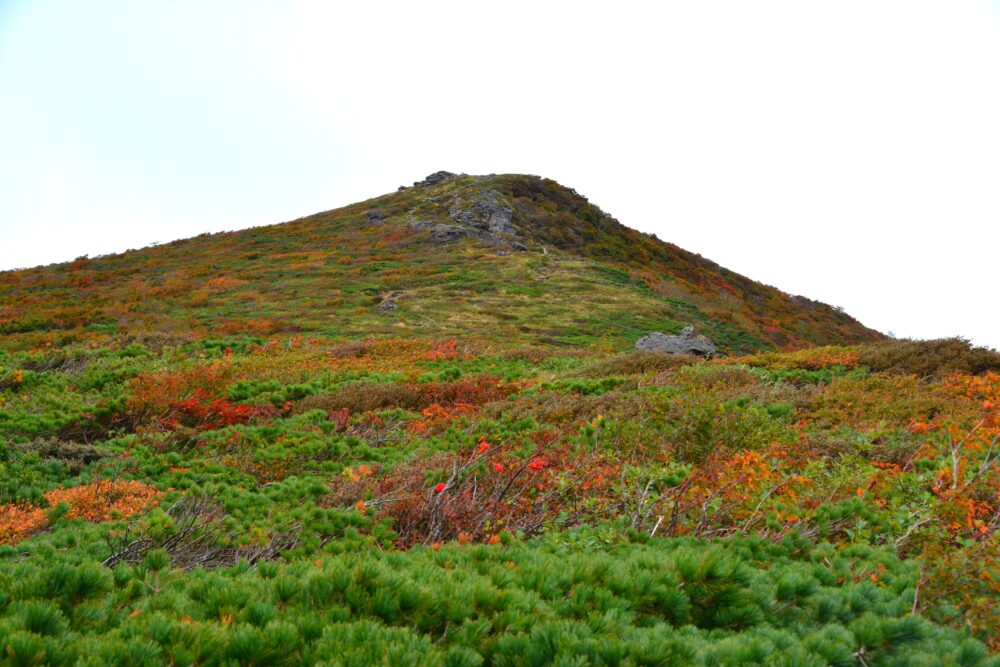 東栗駒山の紅葉