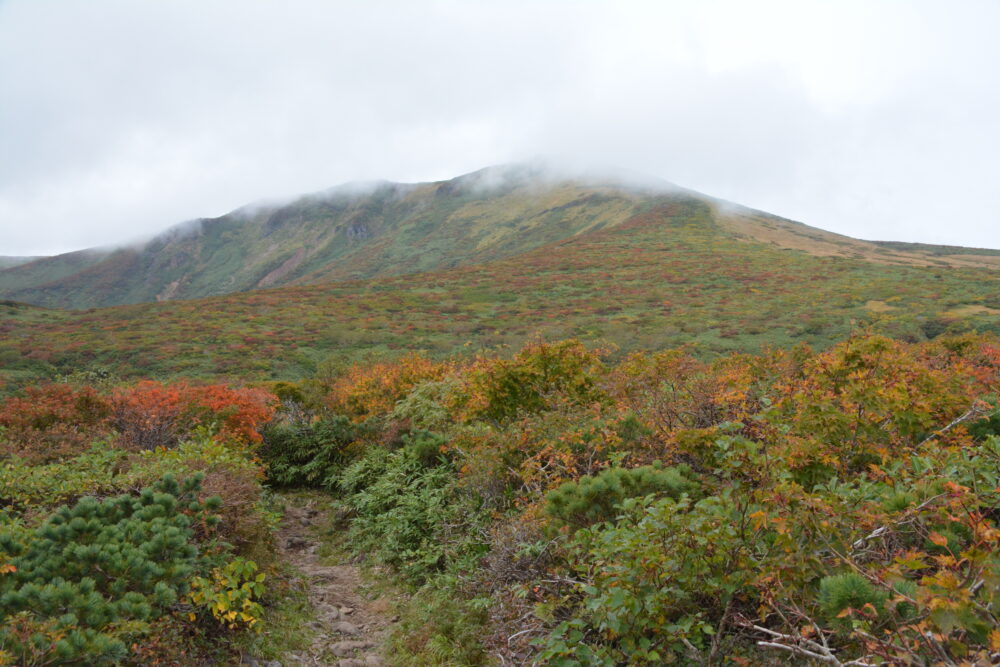 紅葉の栗駒山山頂