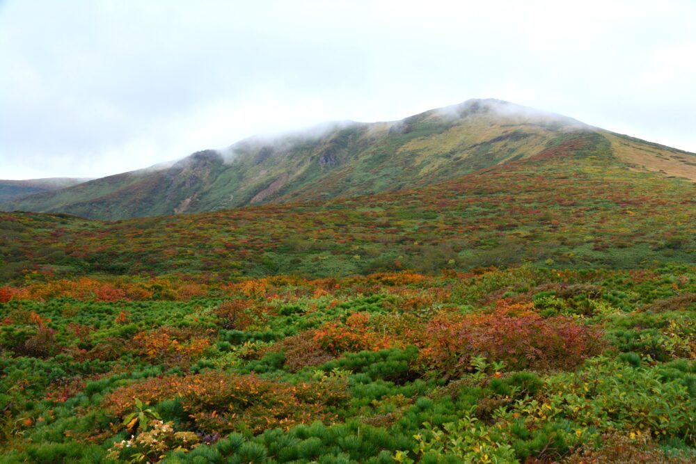 紅葉時期の栗駒山山頂