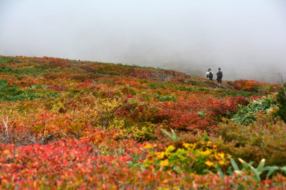栗駒山の紅葉と登山者