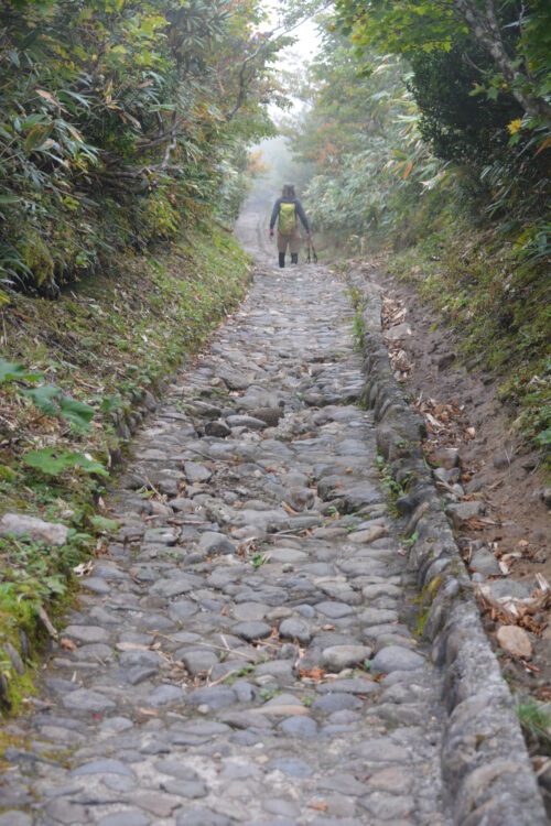 栗駒山・中央コースの整備された登山道