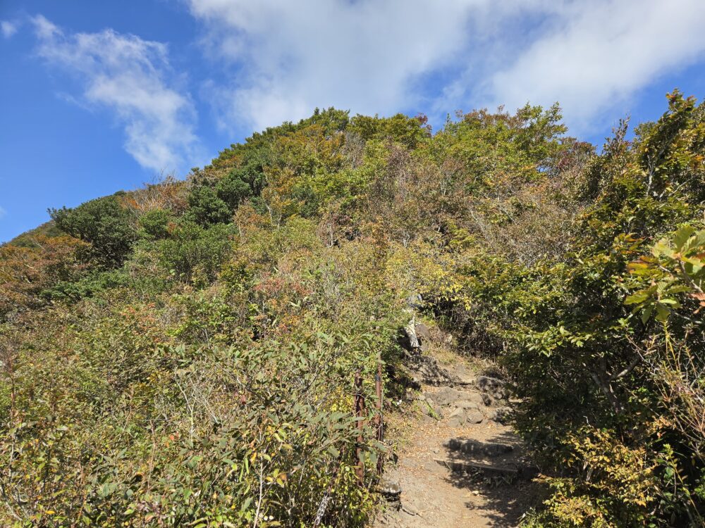 金時山山頂直下の紅葉