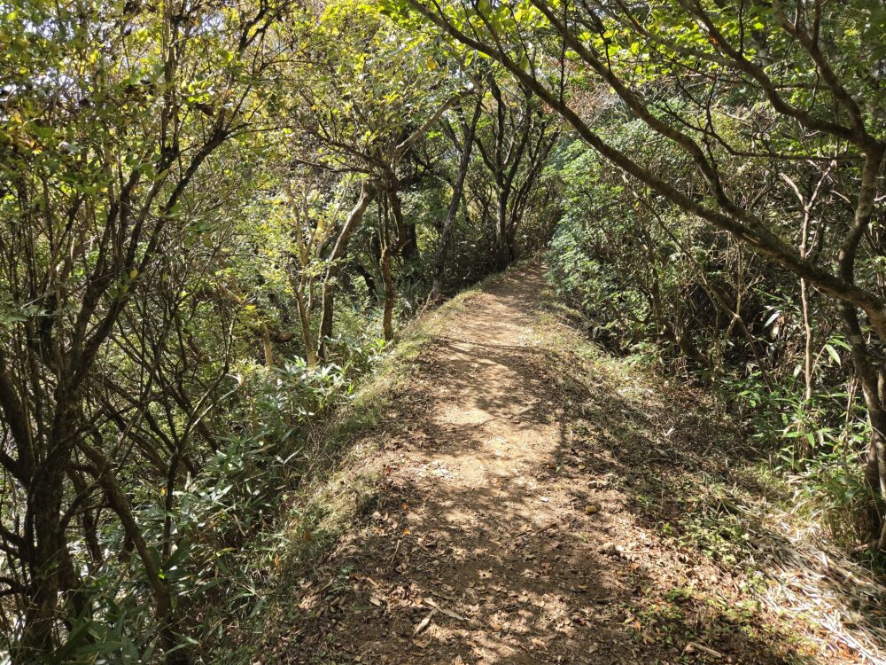 金時山の登山道