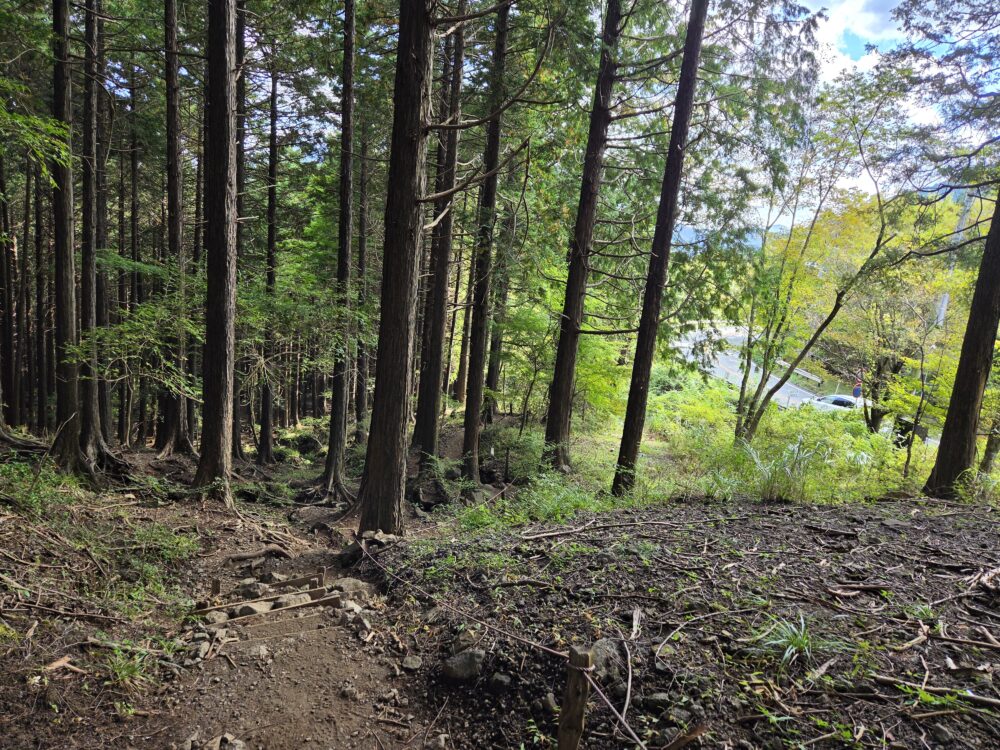 金時山の登山道と車道