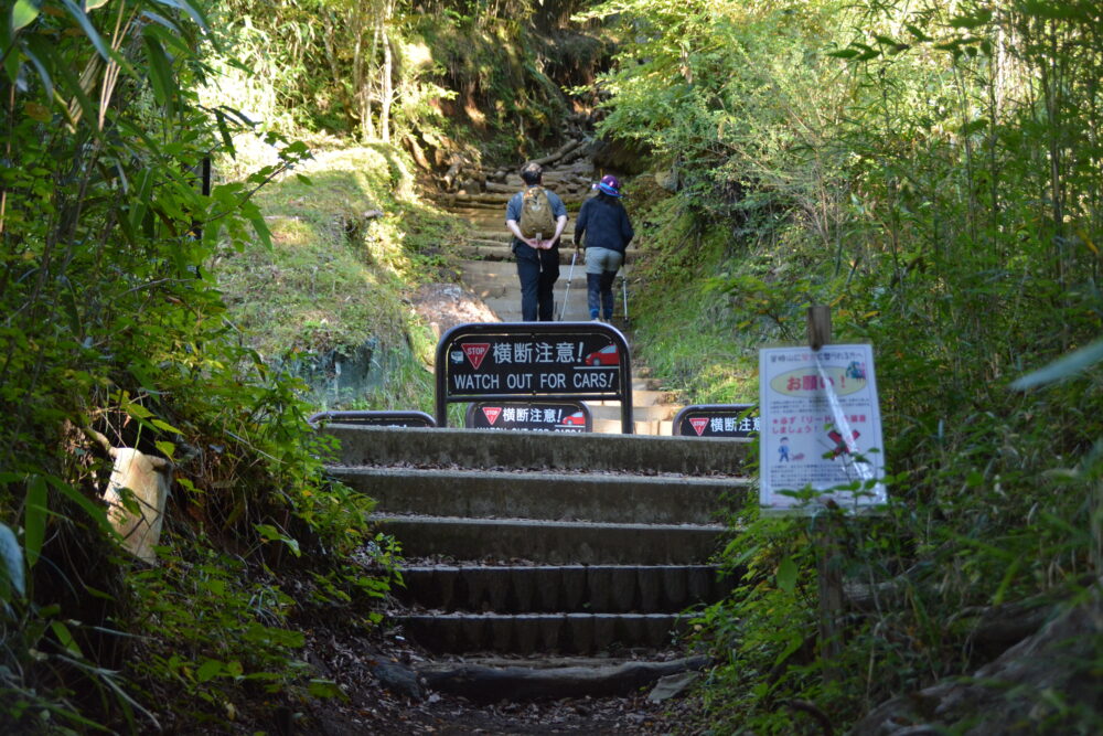 金時山の登山道と県道731号線