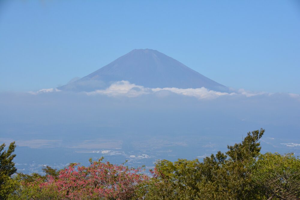 金時山山頂から見た富士山