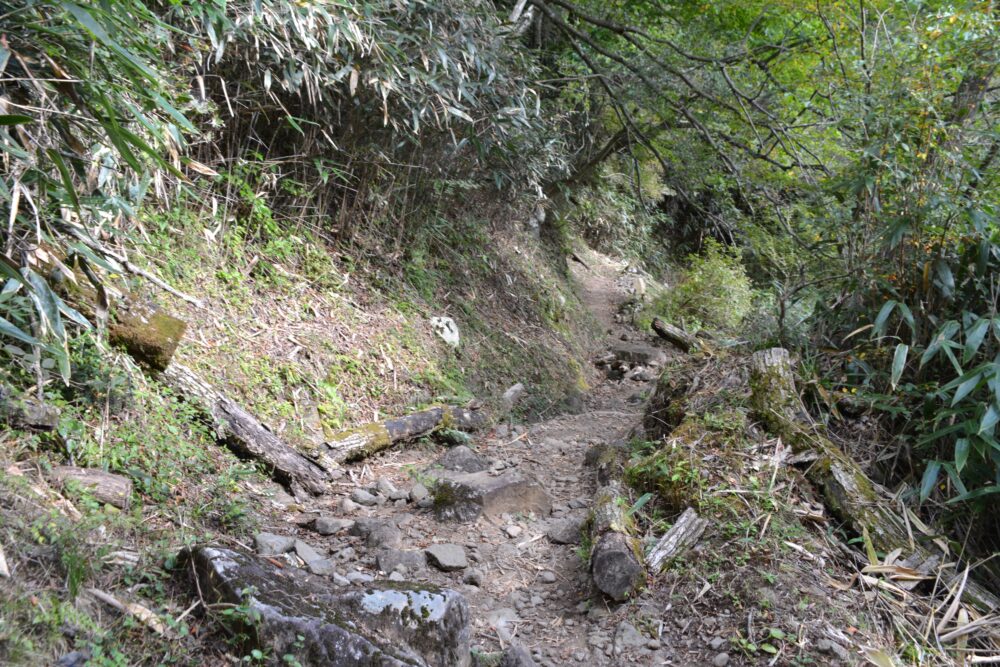 金時山の登山道